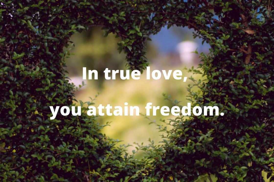 Buddhist quotes on love Buddhist quotes on love