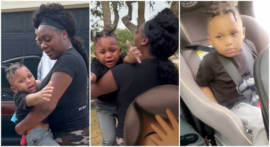 Photos of Miss Shai trying to get her son to follow her back home after visiting grandma. Photos of Miss Shai trying to get her son to follow her back home after visiting grandma.