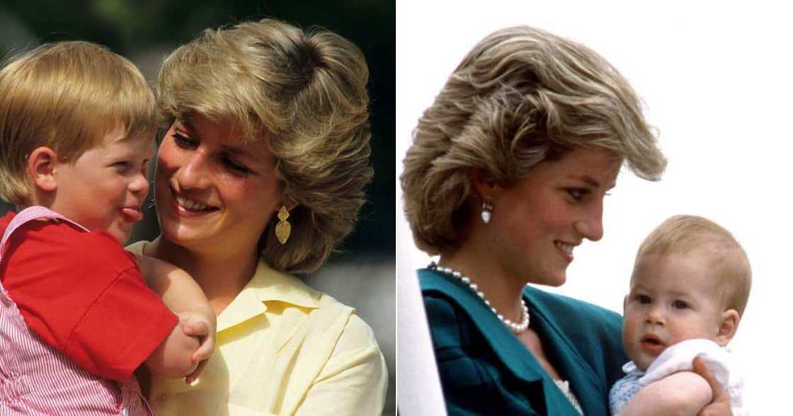 Princess Diana, Prince Harry, Proud, Sarah Ferguson Princess Diana, Prince Harry, Proud, Sarah Ferguson