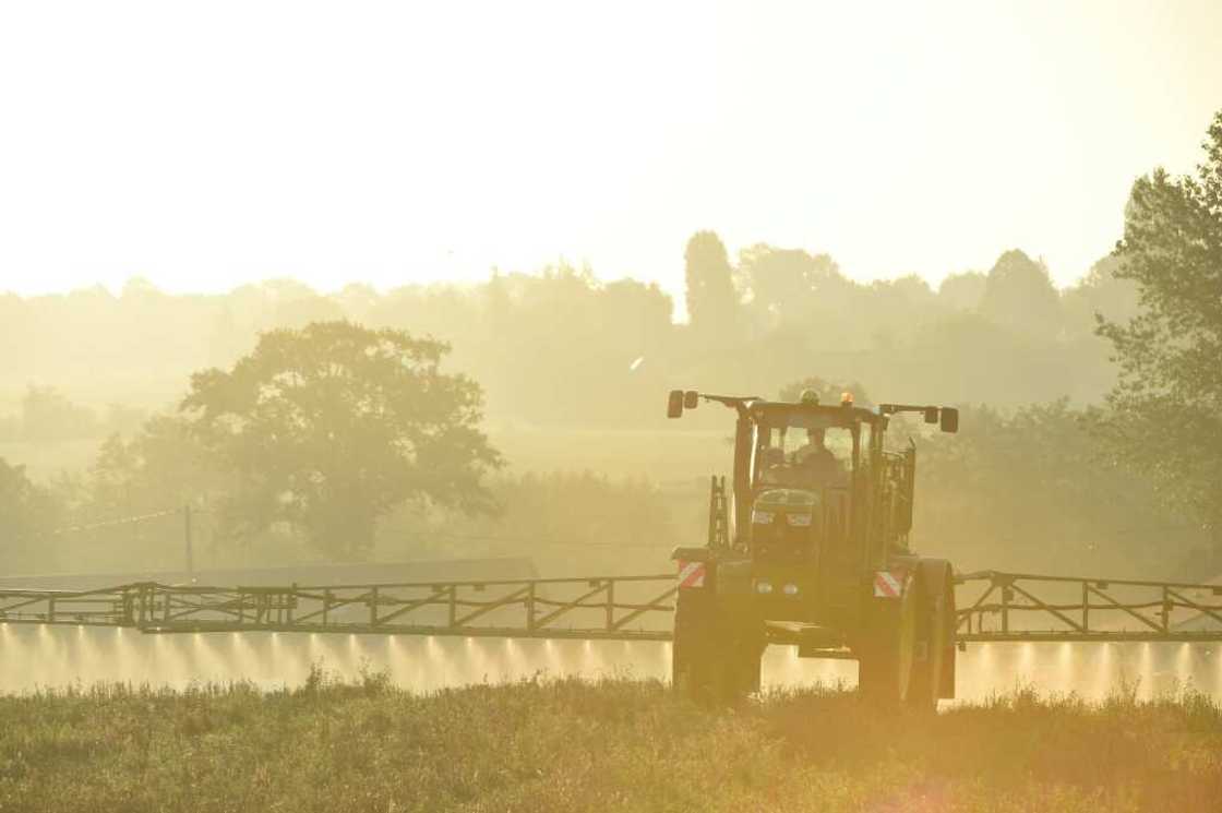 Glyphosate is one of the most widely used weedkillers in the world but critics point to evidence that says it may cause cancer Glyphosate is one of the most widely used weedkillers in the world but critics point to evidence that says it may cause cancer