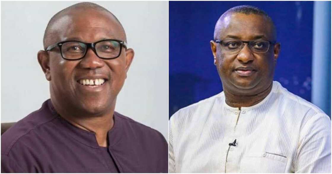 Festus Keyamo, Peter Obi, 2023 elections, APC, Labour Party Festus Keyamo, Peter Obi, 2023 elections, APC, Labour Party