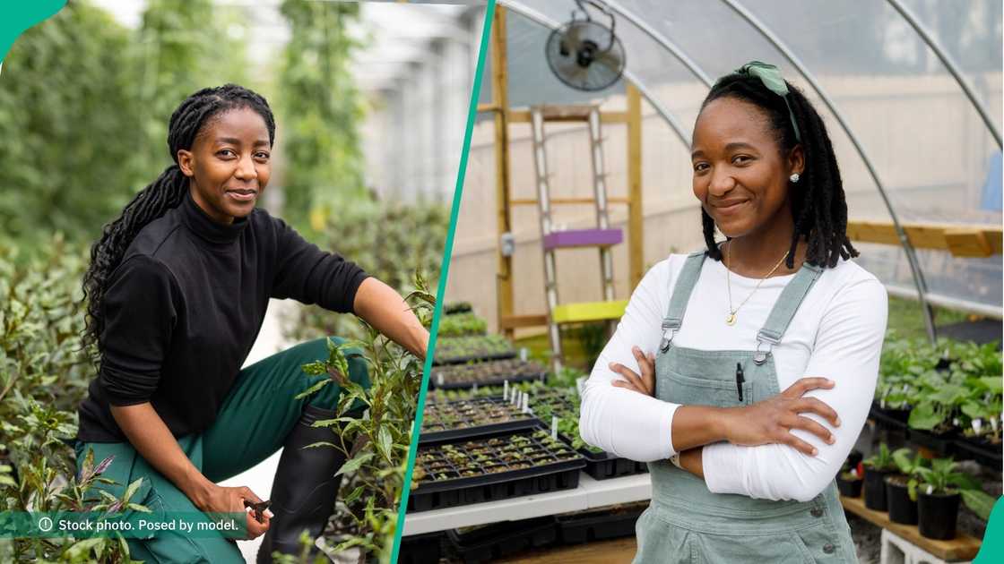 Leventis Foundation to award N20 million to young Nigerian agripreneurs. Leventis Foundation to award N20 million to young Nigerian agripreneurs.