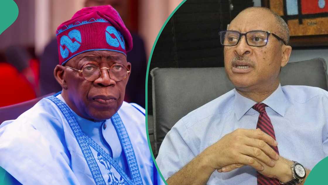 President Bola Tinubu has fired back against Pat Utomi over claims of a shadow government being formed to usurp his power. President Bola Tinubu has fired back against Pat Utomi over claims of a shadow government being formed to usurp his power.