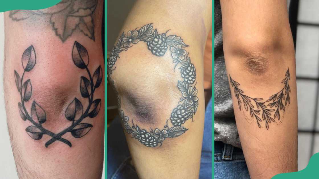 Laurel wreath (R), blueberry (C), and leaf (R Laurel wreath (R), blueberry (C), and leaf (R