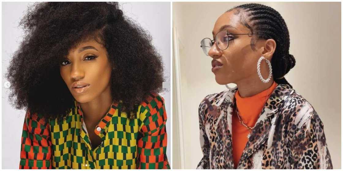 Photos of singer Dija. Photos of singer Dija.