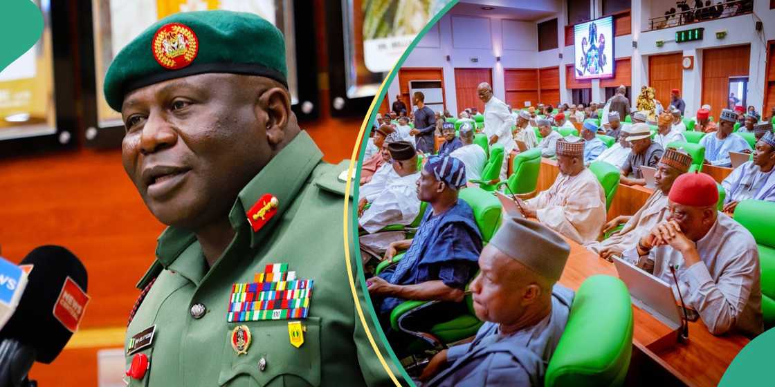 Reps confirm Oluyede as Chief of Army Staff