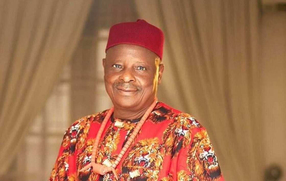 Ndigbo, Importation, NNPP, Rabiu Kwankwaso, Igbos, southeast