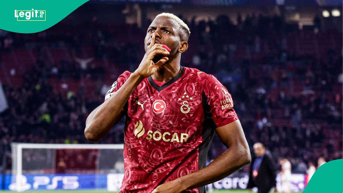 Victor Osimhen, Galatasaray, Ajax, Netherlands, UEFA Champions League. Victor Osimhen, Galatasaray, Ajax, Netherlands, UEFA Champions League.