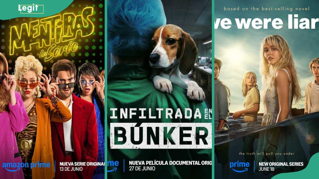 The Series (L), Infiltrada en el bĂșnker (C), and We Were Liars (R) posters The Series (L), Infiltrada en el bĂșnker (C), and We Were Liars (R) posters