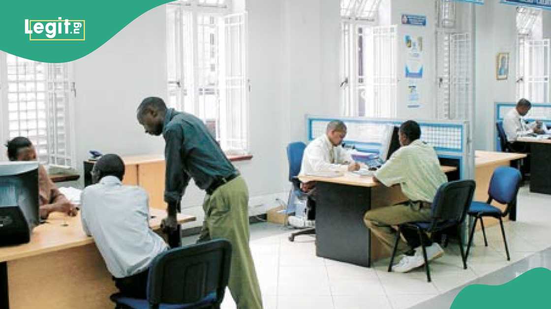 Job opportunity at Development Bank of Nigeria Job opportunity at Development Bank of Nigeria