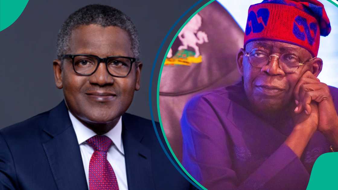 FG finally takes action to crash petrol price FG finally takes action to crash petrol price