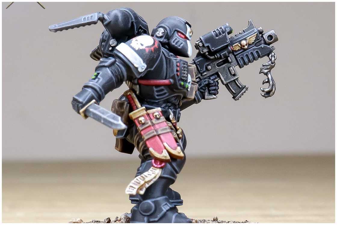 Raven Guard Raven Guard