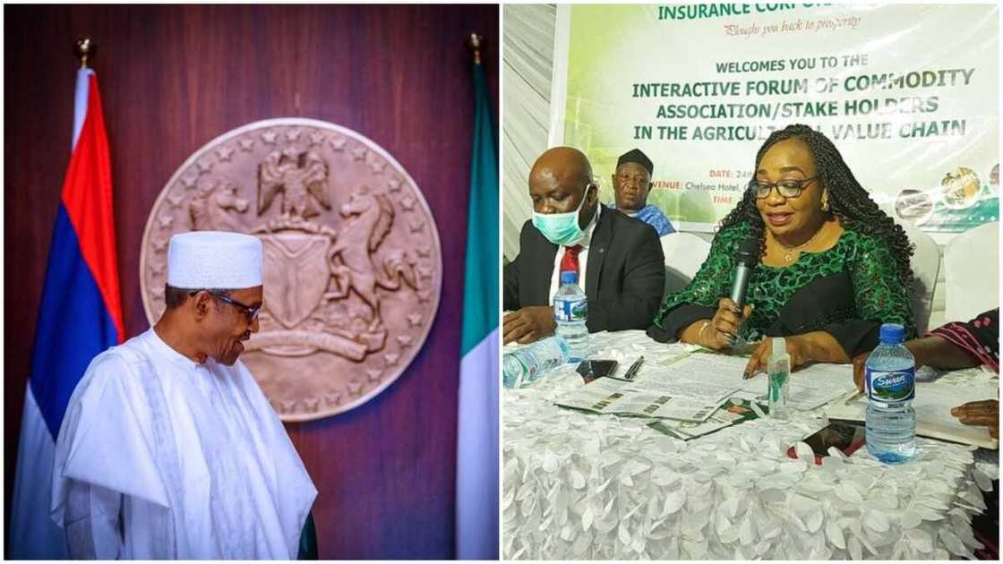 Folashade Joseph: Buhari reappoints MD of NAIC for another term Folashade Joseph: Buhari reappoints MD of NAIC for another term