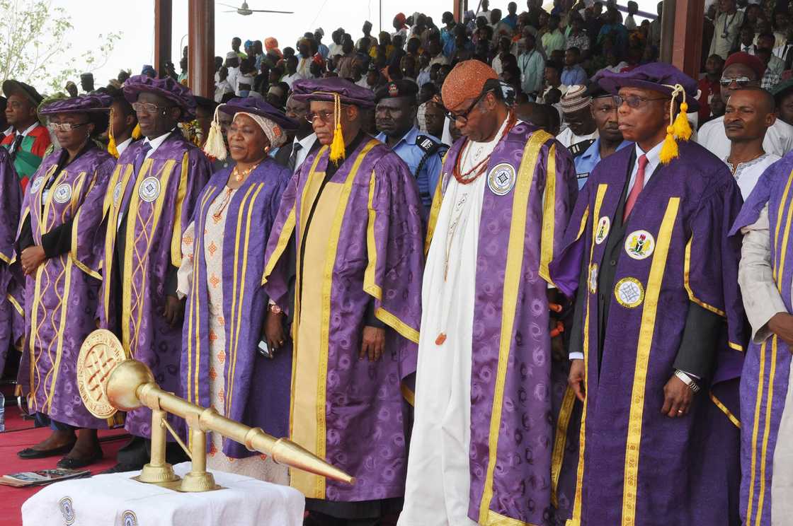 Members of staff at Federal University of Technology Minna in purple academic dresses Members of staff at Federal University of Technology Minna in purple academic dresses