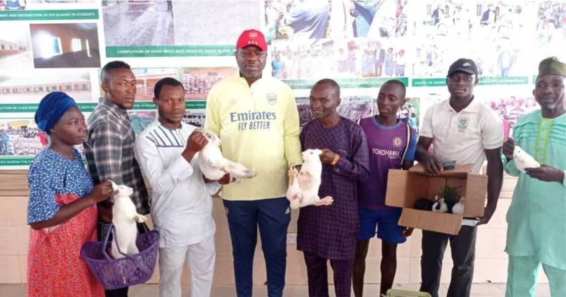 Youth empowerment: Nigerian lawmaker to help constituents with rabbit farming