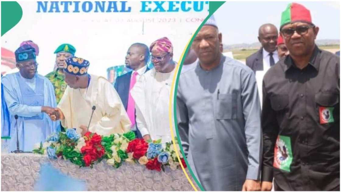 Labour Party/APC/Imo State/Lagos/Court of Appeal/Akwitti Chibuzor Labour Party/APC/Imo State/Lagos/Court of Appeal/Akwitti Chibuzor