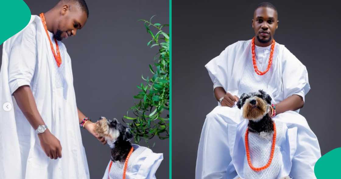 Man wears his dog agbada for birthday photo shoot