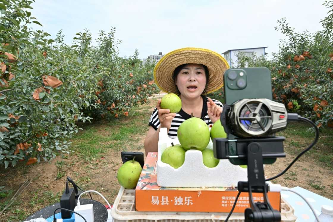 With Chinese consumers buying anything from clothes to makeup to garlic online, livestreaming has become an essential marketing platform for farmers With Chinese consumers buying anything from clothes to makeup to garlic online, livestreaming has become an essential marketing platform for farmers