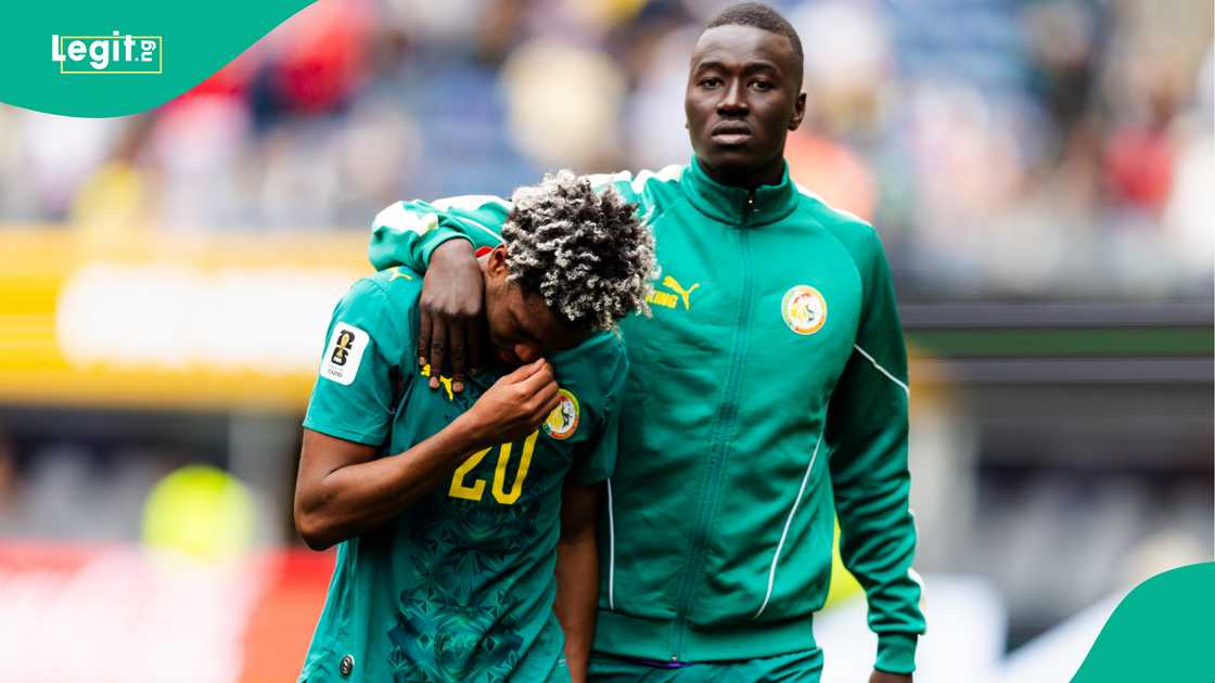 Ibrahim Mbaye, Pape Gueye, Senegal, Belgium, 2026 FIFA World Cup.