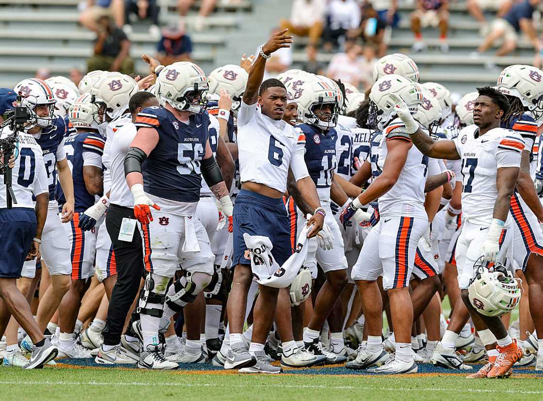 Auburn Tigers in Auburn, Alabama Auburn Tigers in Auburn, Alabama