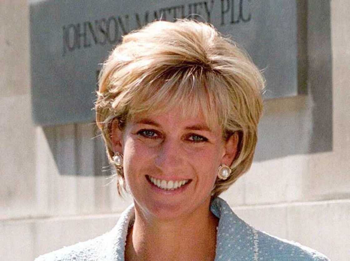 Lady Diana: la biographie de Lady Diana Spencer de la famille royale britannique Lady Diana: la biographie de Lady Diana Spencer de la famille royale britannique