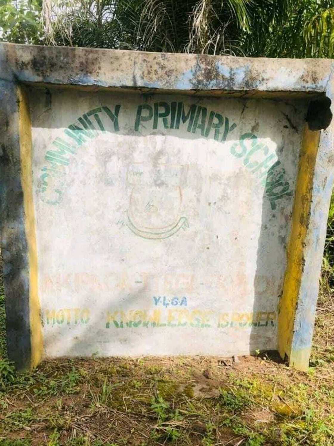 Hotuna: Wata makarantar firamare da dalibai ke daukar darasi a ajin bukka, gindin bishiya kuma shine ofishin hedimasta Hotuna: Wata makarantar firamare da dalibai ke daukar darasi a ajin bukka, gindin bishiya kuma shine ofishin hedimasta