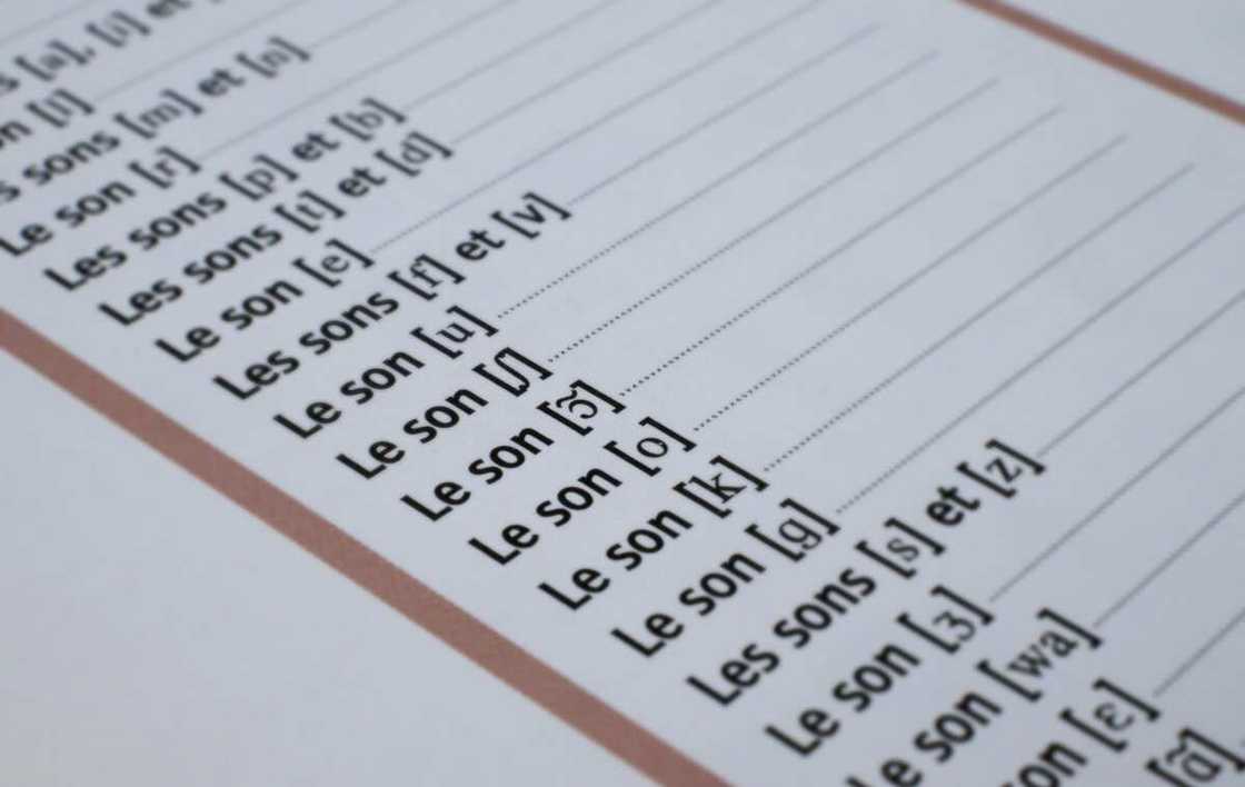 La contrepèterie est une phrase dont certaines lettres ou groupes de lettres sont permutés afin d’en obtenir une nouvelle. La contrepèterie est une phrase dont certaines lettres ou groupes de lettres sont permutés afin d’en obtenir une nouvelle.