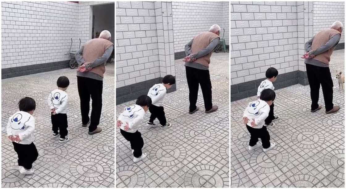 Photos of twin children imitating the way their grandfather walks. Photos of twin children imitating the way their grandfather walks.
