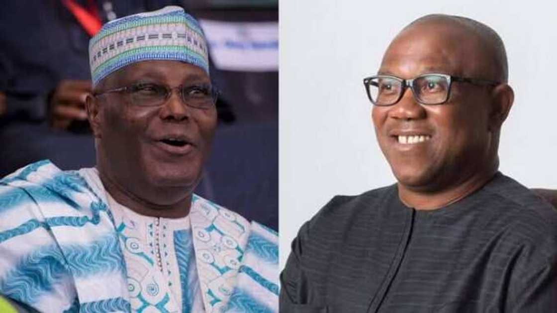 2023 election, PDP, LP 2023 election, PDP, LP