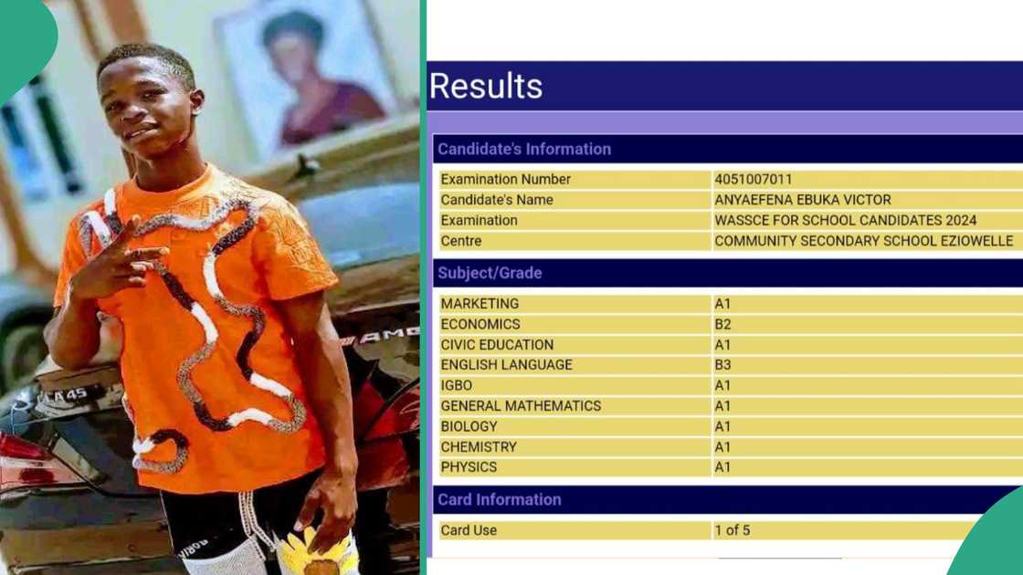 Nigerian boy who scored A1 in 7 WAEC subjects.