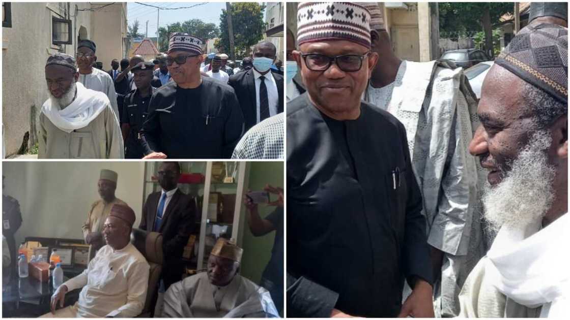 Peter Obi/Sheikh Gumi/Datti Baba-Ahmed/Kaduna/2023 Presidential Election Peter Obi/Sheikh Gumi/Datti Baba-Ahmed/Kaduna/2023 Presidential Election