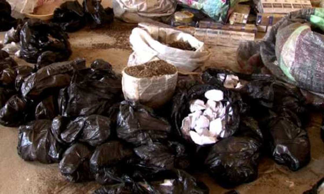 An kama wasu manyan masu safarar miyagun kwayoyi a Borno (Hotuna) An kama wasu manyan masu safarar miyagun kwayoyi a Borno (Hotuna)