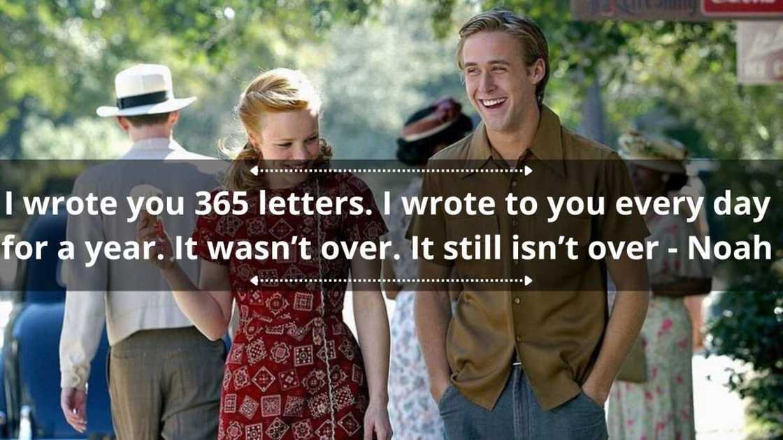 The Notebook Short Quotes The Notebook Movie Quotes | TikTok