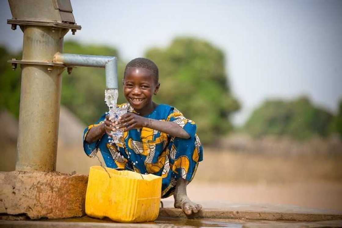 10 points on importance of water 10 points on importance of water