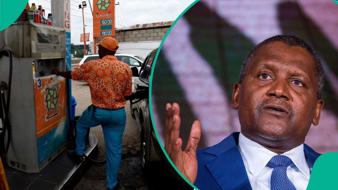 Nigeria’s daily petrol consumption fell to 52.9 million litres in November, according to NMDPRA.
Dangote Refinery increased production while public refineries recorded no petrol output. Nigeria’s daily petrol consumption fell to 52.9 million litres in November, according to NMDPRA.
Dangote Refinery increased production while public refineries recorded no petrol output.