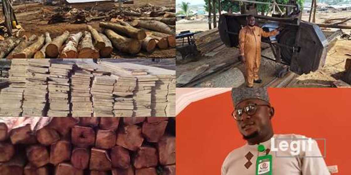Meet Nigerian graduate who shunned white-collar job; hitting big in sawmilling business Meet Nigerian graduate who shunned white-collar job; hitting big in sawmilling business