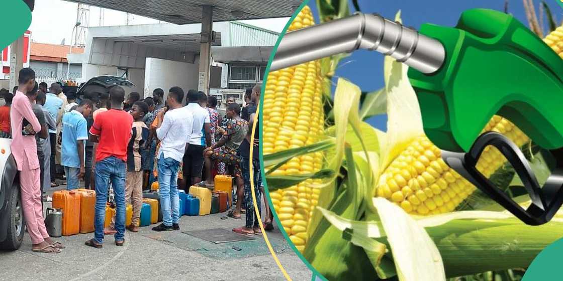 Oil marketers advocate use of ethanol to replace petrol in Nigeria Oil marketers advocate use of ethanol to replace petrol in Nigeria