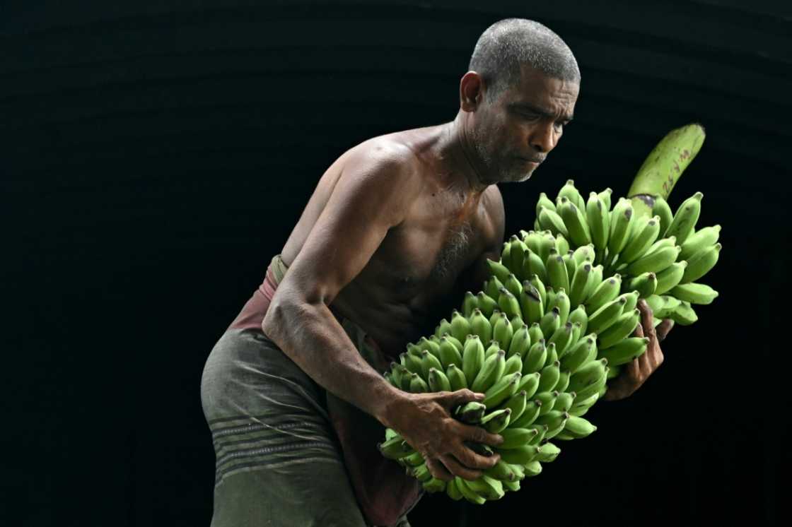 A worker unloads bananas from a truck, at a market in Colombo