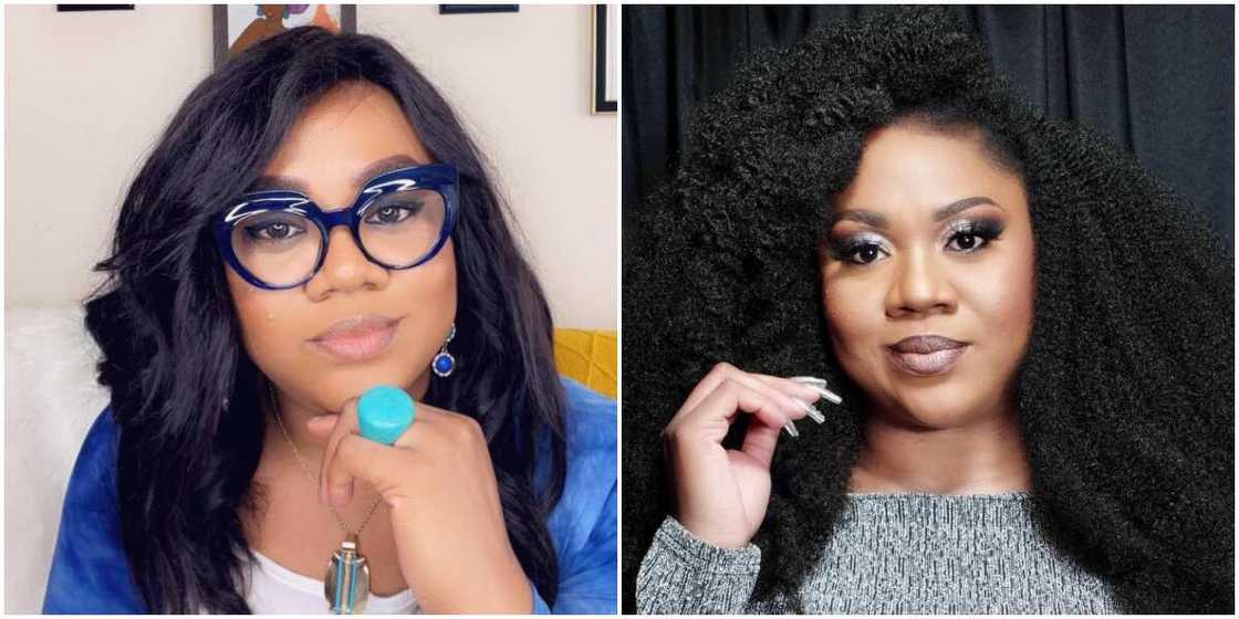 Stella Damasus Stella Damasus