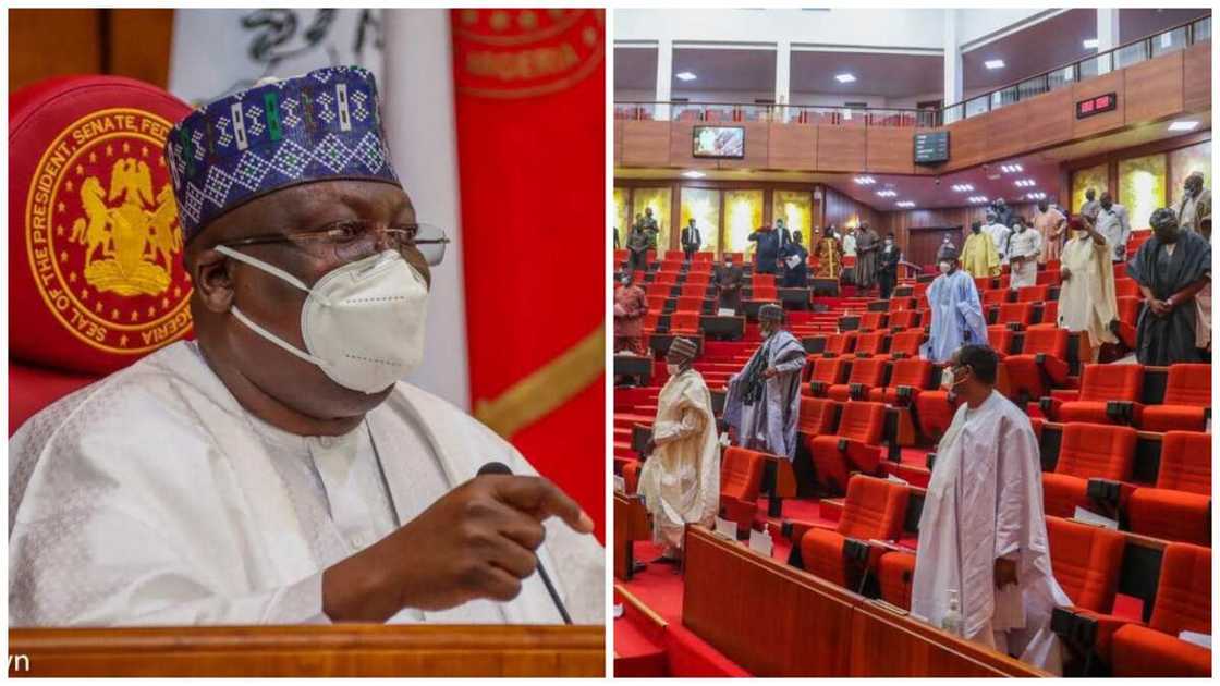 Senate, Ahmed Lawan, Service Providers, Multichoice, DStv, GOtv Packages, Abba Moro Senate, Ahmed Lawan, Service Providers, Multichoice, DStv, GOtv Packages, Abba Moro