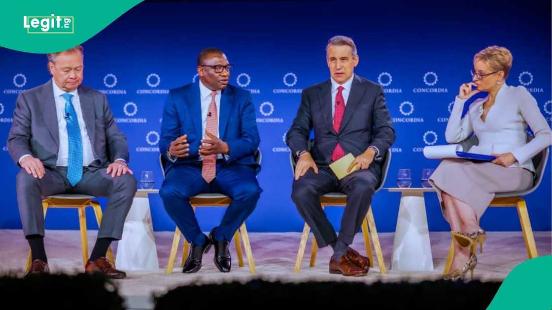 Nigeria has 44 valuable minerals, but investors still see a sector far from ready. Nigeria has 44 valuable minerals, but investors still see a sector far from ready.
