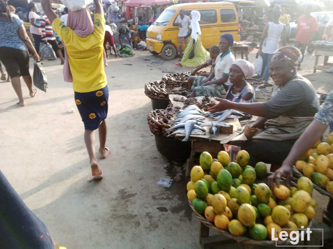 Mango is in its season now but the fresh ones are sold from N200 upwards. Photo credit: Esther Odili Mango is in its season now but the fresh ones are sold from N200 upwards. Photo credit: Esther Odili