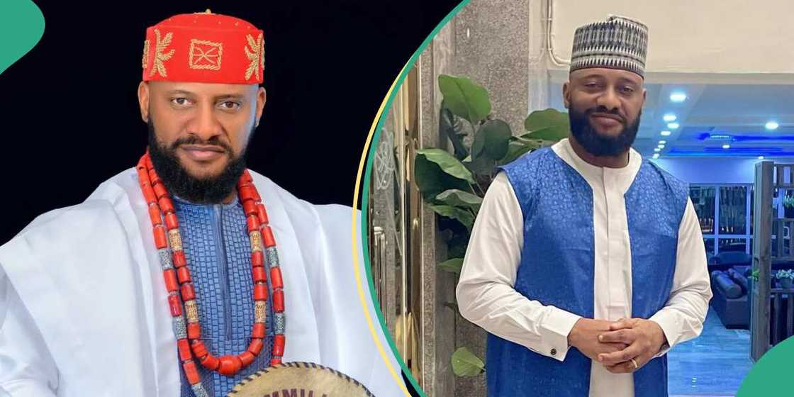 Yul Edochie says he originated the slogan "No gree for anyone"