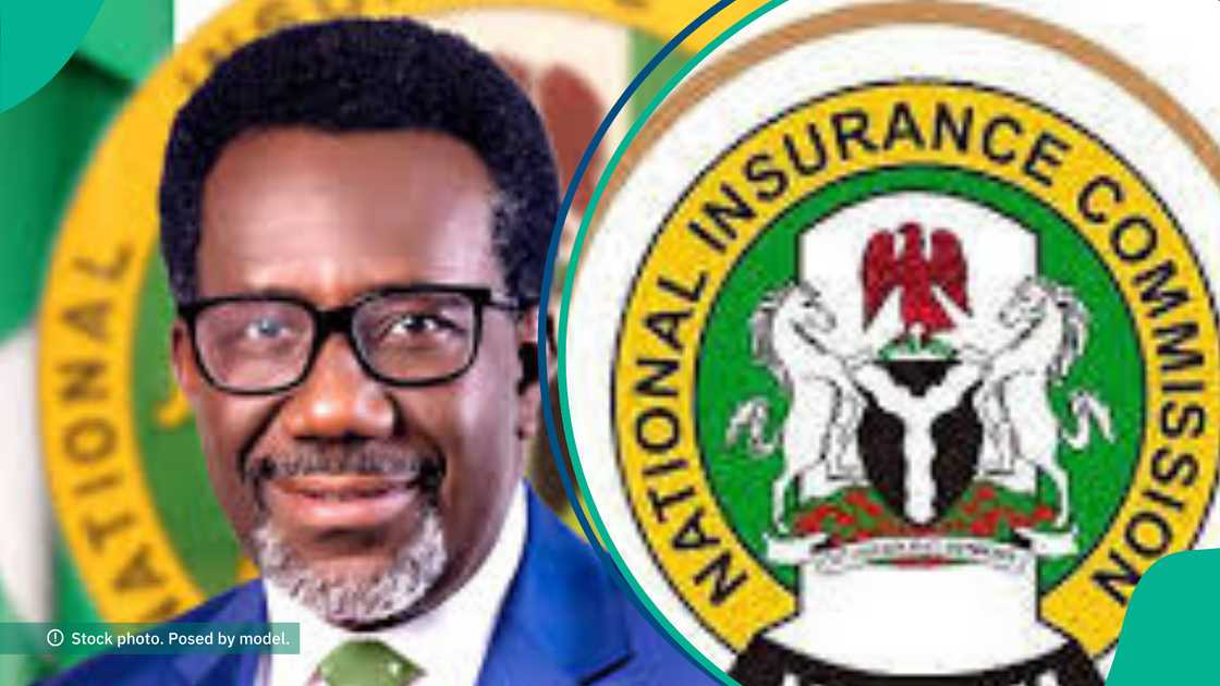 NAICOM Sacks African Alliance Insurance Board, Management