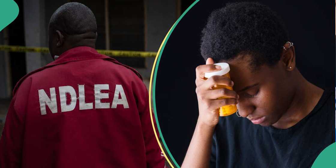 Hukumar NDLEA ta yi magana kan gwajin da ta yiwa 'yan takara a jihar Kano Hukumar NDLEA ta yi magana kan gwajin da ta yiwa 'yan takara a jihar Kano