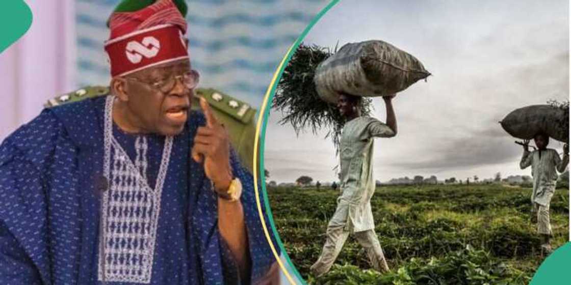 Manoman Arewa Manoman Arewa