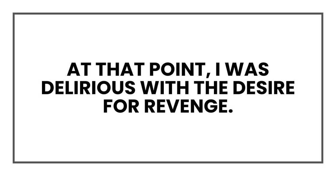 At that point, I was delirious with the desire for revenge. At that point, I was delirious with the desire for revenge.