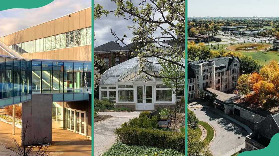 Cheap universities in Canada