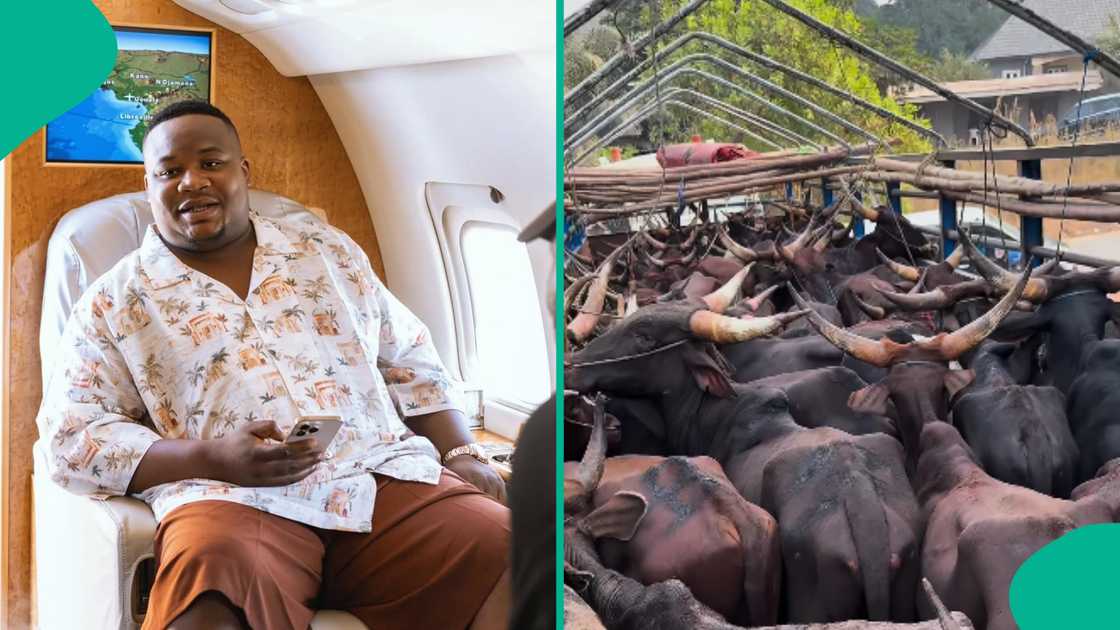 Cubana CP gifts his friend 47 cows for his mum's burial. Cubana CP gifts his friend 47 cows for his mum's burial.