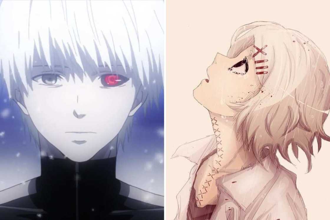 Male white-haired anime characters